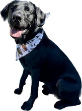Load image into Gallery viewer, Duck Dog Bandana
